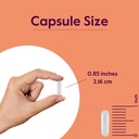 bestvite-l-carnosine-500mg-240-capsules--6.jpg