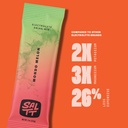 saltt-electrolytes-powder-packets-mondo--3.jpg
