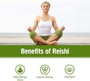 om-mushroom-superfood-reishi-organic-mus-5.jpg