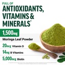 force-factor-modern-moringa-capsules-com-3.jpg