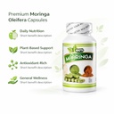 moringa-oleifera-capsule-supplement-100--2.jpg