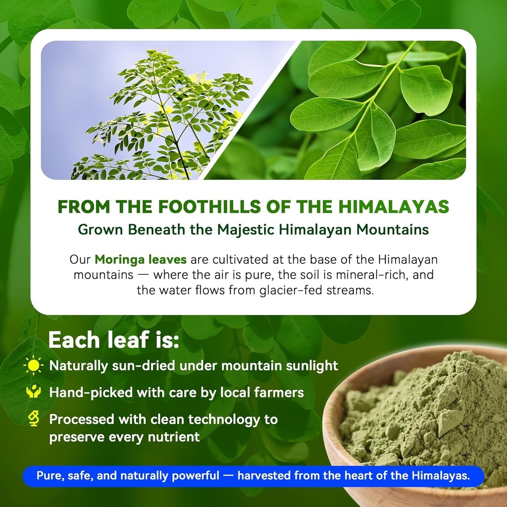 moringa-capsules-1000mg-high-potency-10--2.jpg