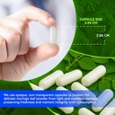moringa-capsules-1000mg-high-potency-10--5.jpg