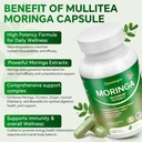moringa-capsules-pure-moringa-powder-sup-3.jpg