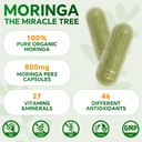 moringa-capsules-pure-moringa-powder-sup-2.jpg