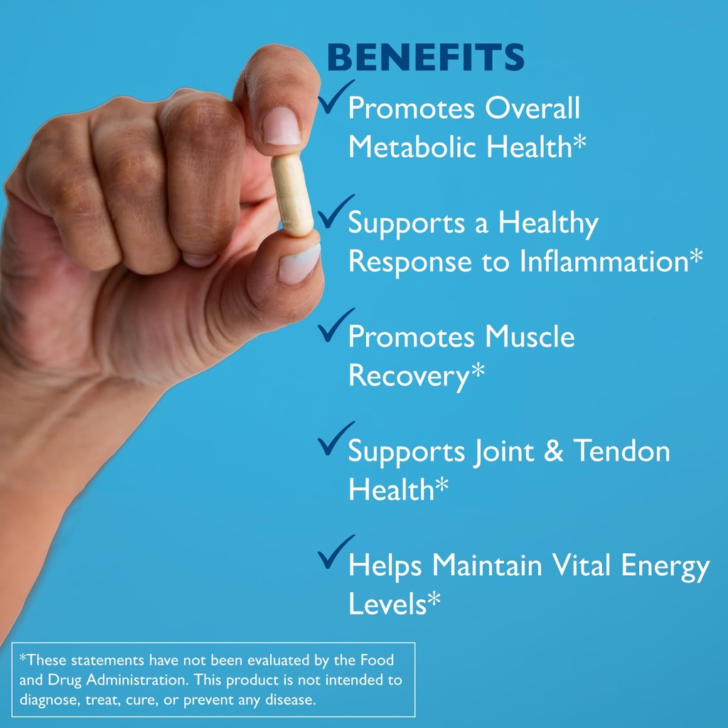 excellacor-450-systemic-enzyme-supplemen-4.jpg