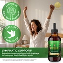 poke-root-extract-pure-lymphatic-drainag-5.jpg