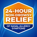 nasacort-24hr-allergy-nasal-spray-for-ad-5.jpg