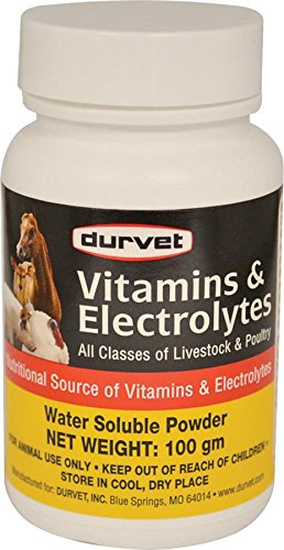 durvet-698468-vitamins-electrolytes-for--2.jpg