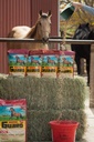 horse-guard-10-lb-equine-vitamin-mineral-4.jpg