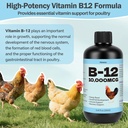 vitamin-b12-liquid-for-poultry-10000-mcg-3.jpg