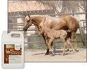ultracruz-equine-wheat-germ-oil-blend-1--2.jpg