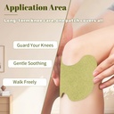 36pcs-wormwood-extract-knee-patches-8-ho-2.jpg