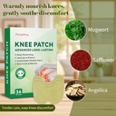36pcs-wormwood-extract-knee-patches-8-ho-4.jpg