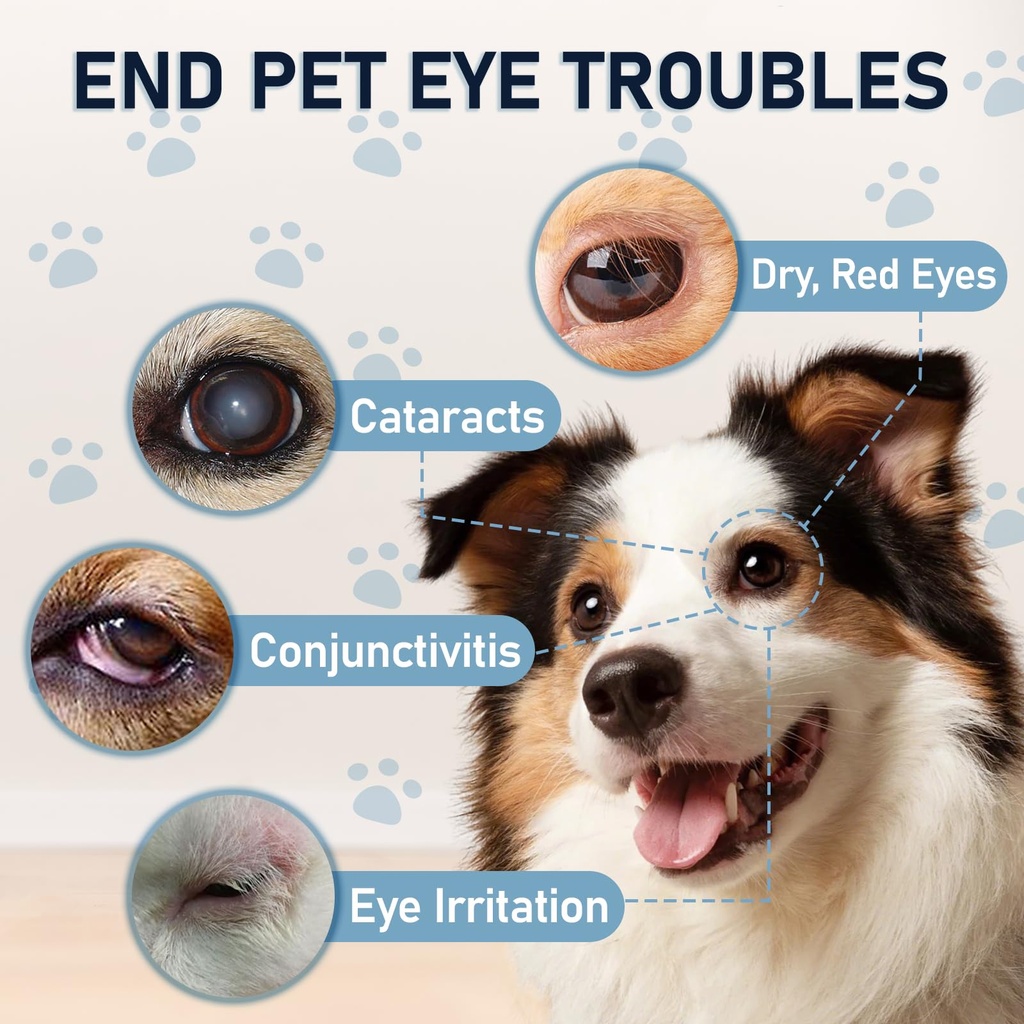 dog-cat-cataract-eye-drops-infection-tre-4.jpg