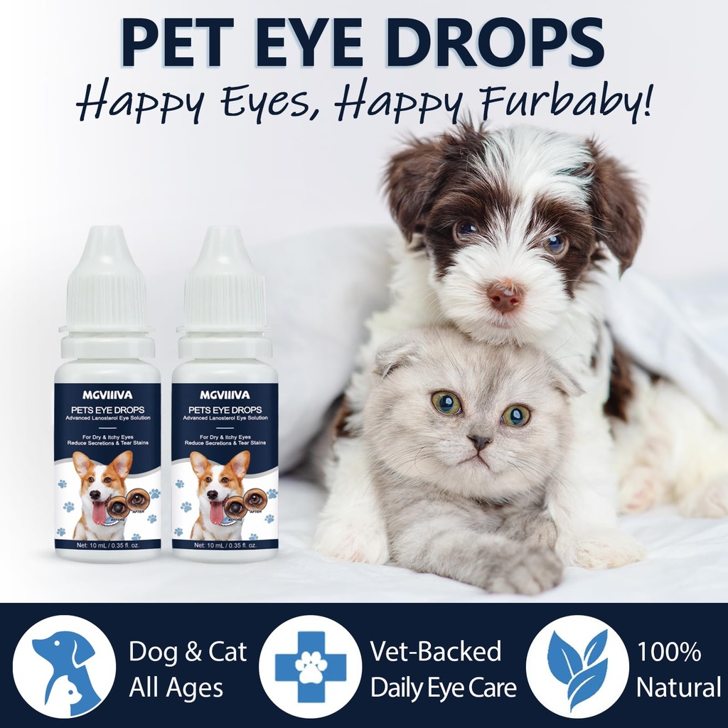 dog-cat-cataract-eye-drops-infection-tre-6.jpg