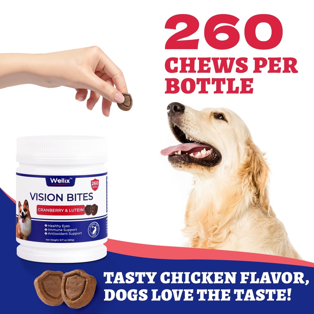 wellix-260-bites-vision-taurine-for-dogs-2.jpg