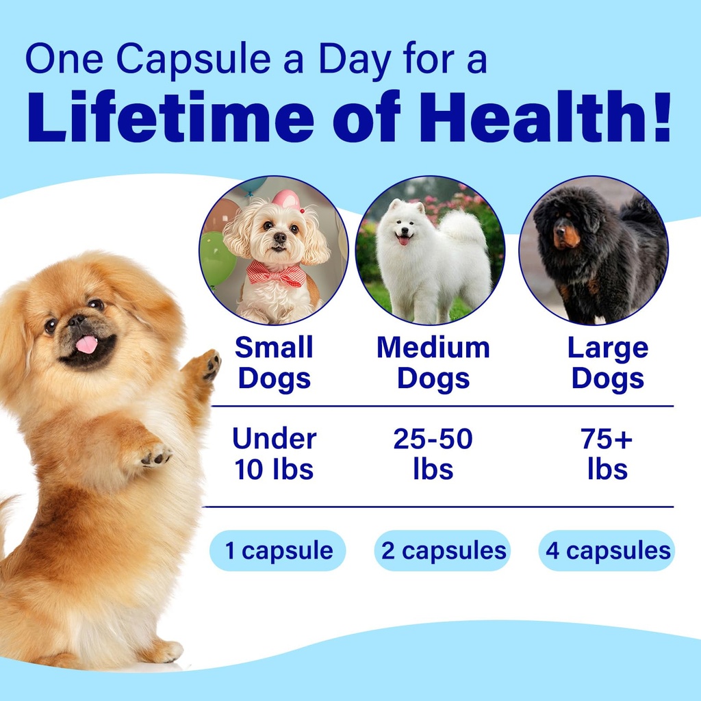eye-supplements-for-dogs-vision-support--6.jpg