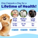 eye-supplements-for-dogs-vision-support--6.jpg