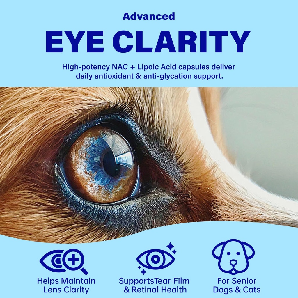 eye-supplements-for-dogs-vision-support--3.jpg