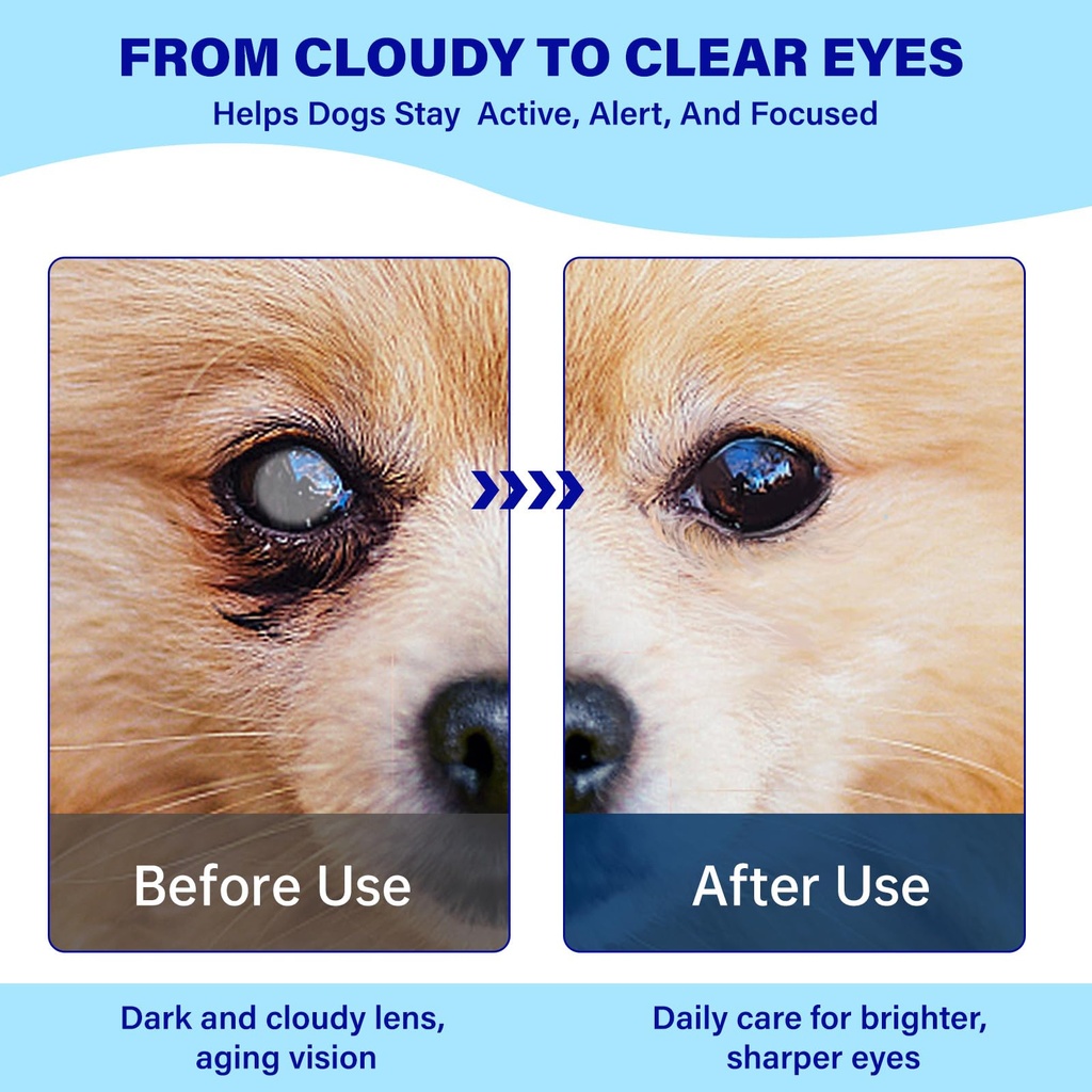 eye-supplements-for-dogs-vision-support--5.jpg