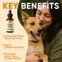 aura-pets-advanced-vision-formula-for-do-6.jpg