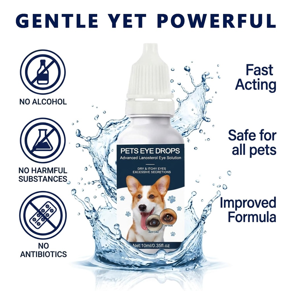 cataract-drops-for-dogs-natural-safe-dog-4.jpg