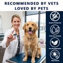 cataract-drops-for-dogs-natural-safe-dog-3.jpg
