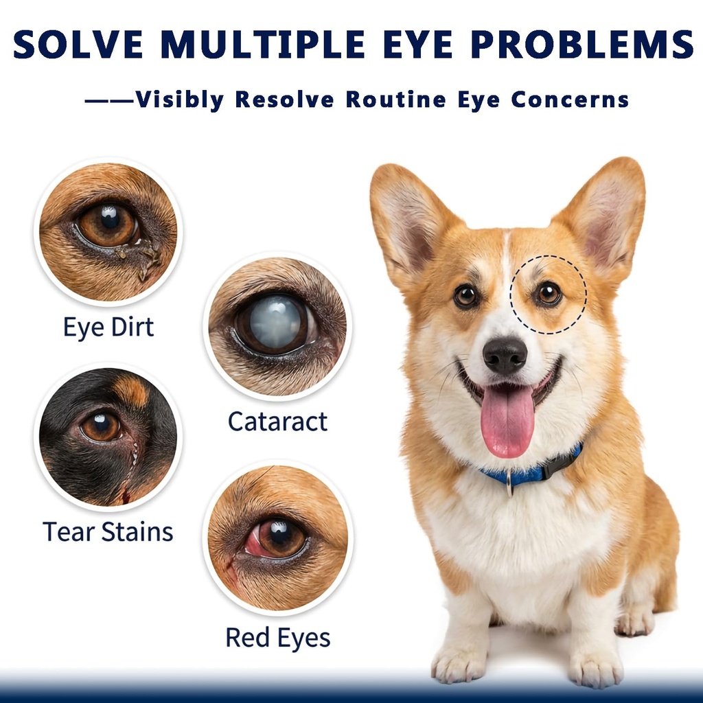 cataract-drops-for-dogs-natural-safe-dog-5.jpg