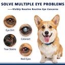 cataract-drops-for-dogs-natural-safe-dog-5.jpg