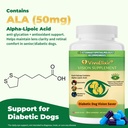 diabetic-dog-vision-support-supplement-a-5.jpg