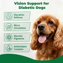diabetic-dog-vision-support-supplement-a-2.jpg