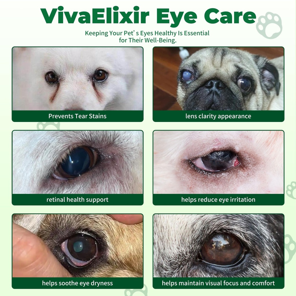 diabetic-dog-vision-support-supplement-a-4.jpg