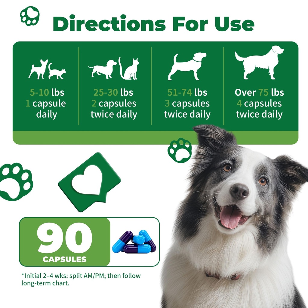 diabetic-dog-vision-support-supplement-a-6.jpg