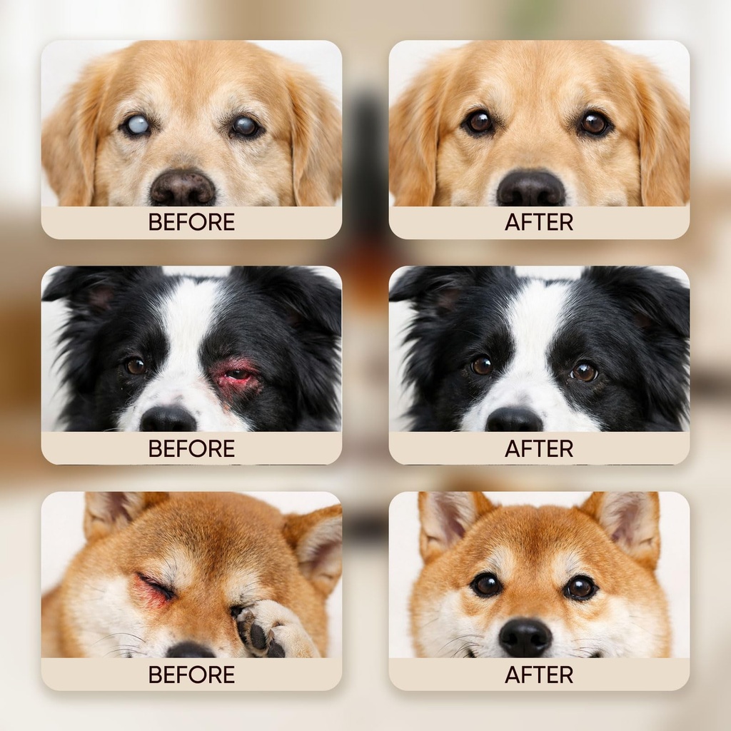 optikind-vision-drops-for-dogs-dog-drops-3.jpg