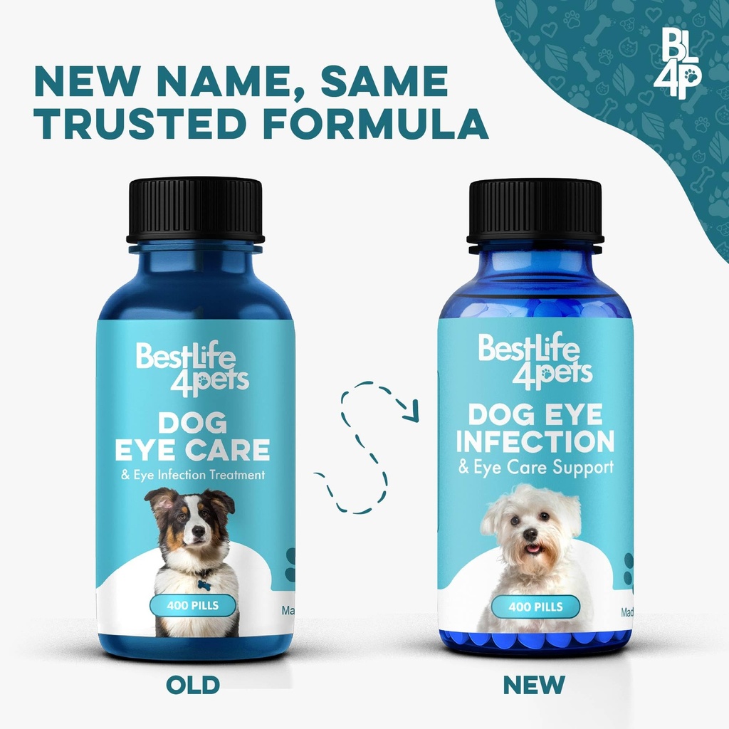 dog-eye-infection-eye-care-support-suppl-3.jpg