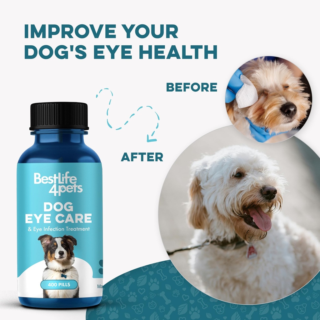 dog-eye-infection-eye-care-support-suppl-5.jpg