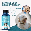 dog-eye-infection-eye-care-support-suppl-5.jpg