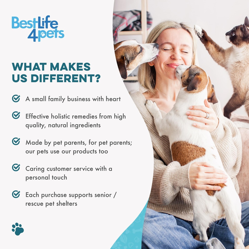 dog-eye-infection-eye-care-support-suppl-6.jpg