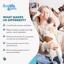 dog-eye-infection-eye-care-support-suppl-6.jpg
