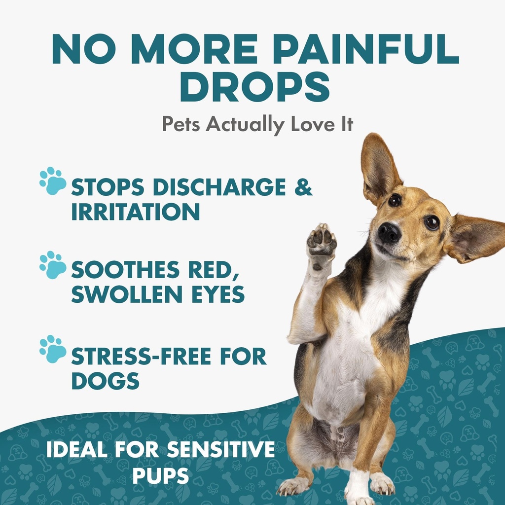 dog-eye-infection-eye-care-support-suppl-4.jpg