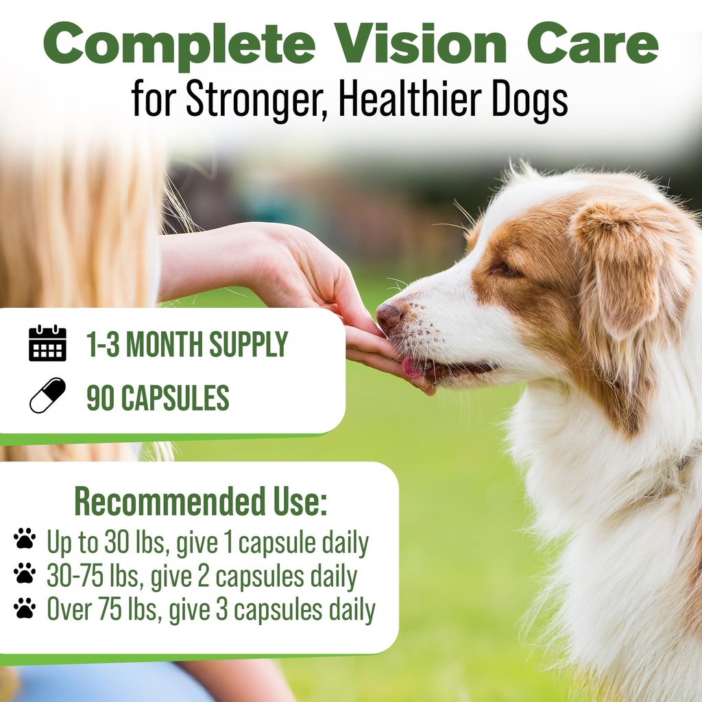 silver-lining-herbs-bright-eyes-canine-e-4.jpg