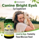 silver-lining-herbs-bright-eyes-canine-e-6.jpg