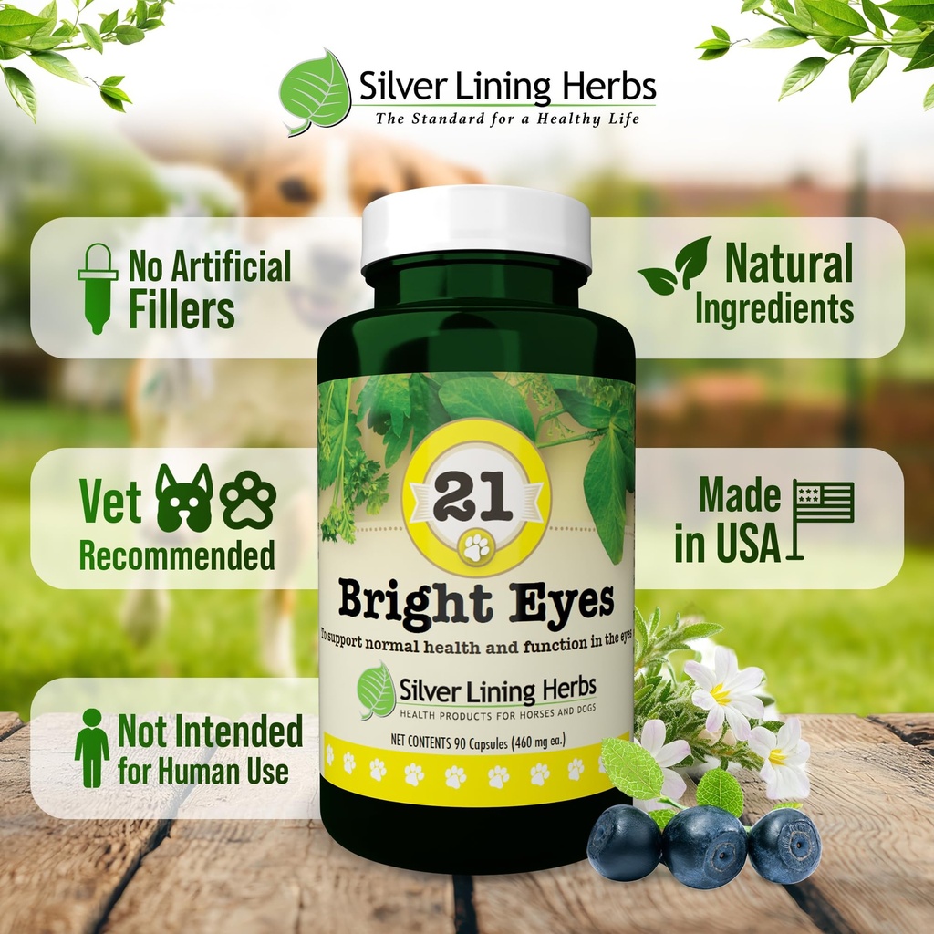 silver-lining-herbs-bright-eyes-canine-e-5.jpg