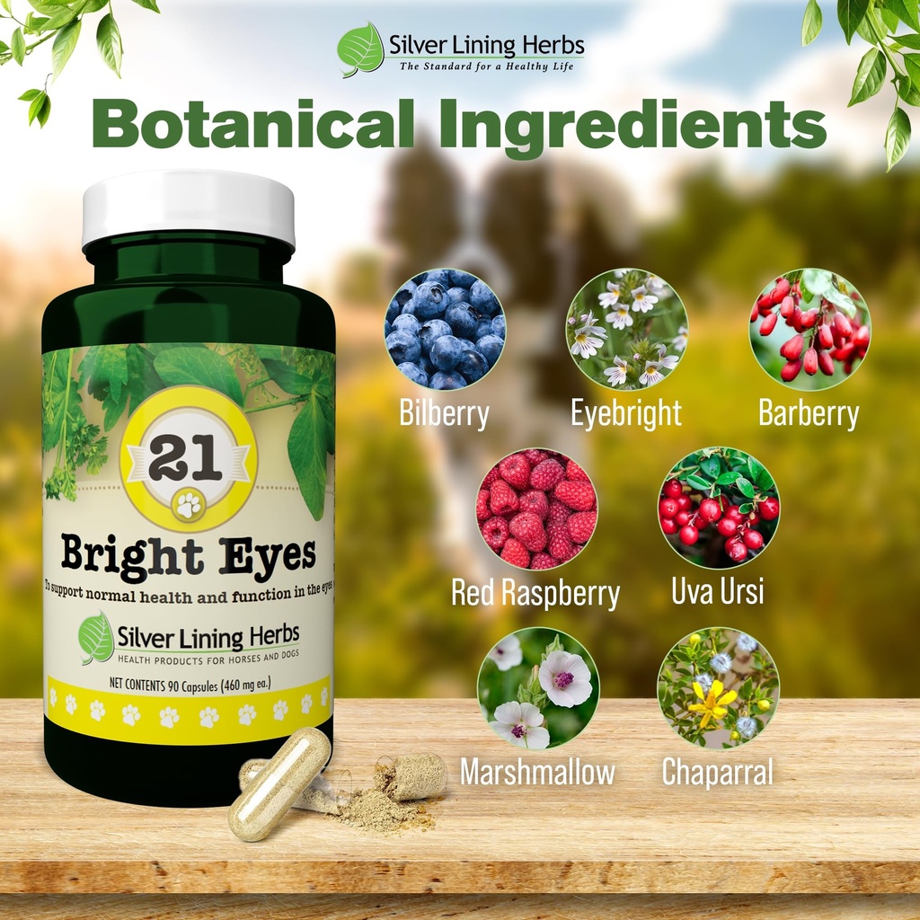 silver-lining-herbs-bright-eyes-canine-e-3.jpg