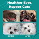 dog-eye-infection-treatment-eye-care-sup-4.jpg