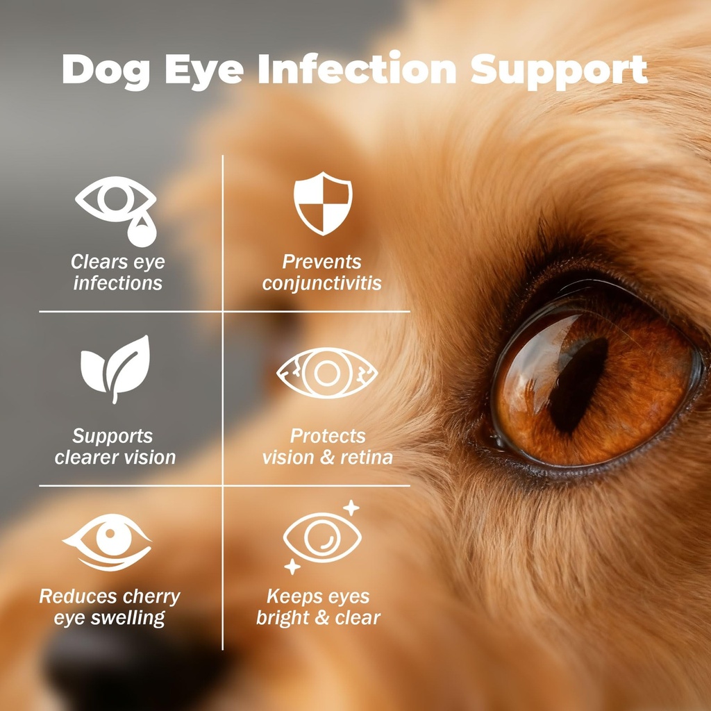 dog-eye-infection-treatment-eye-care-sup-2.jpg