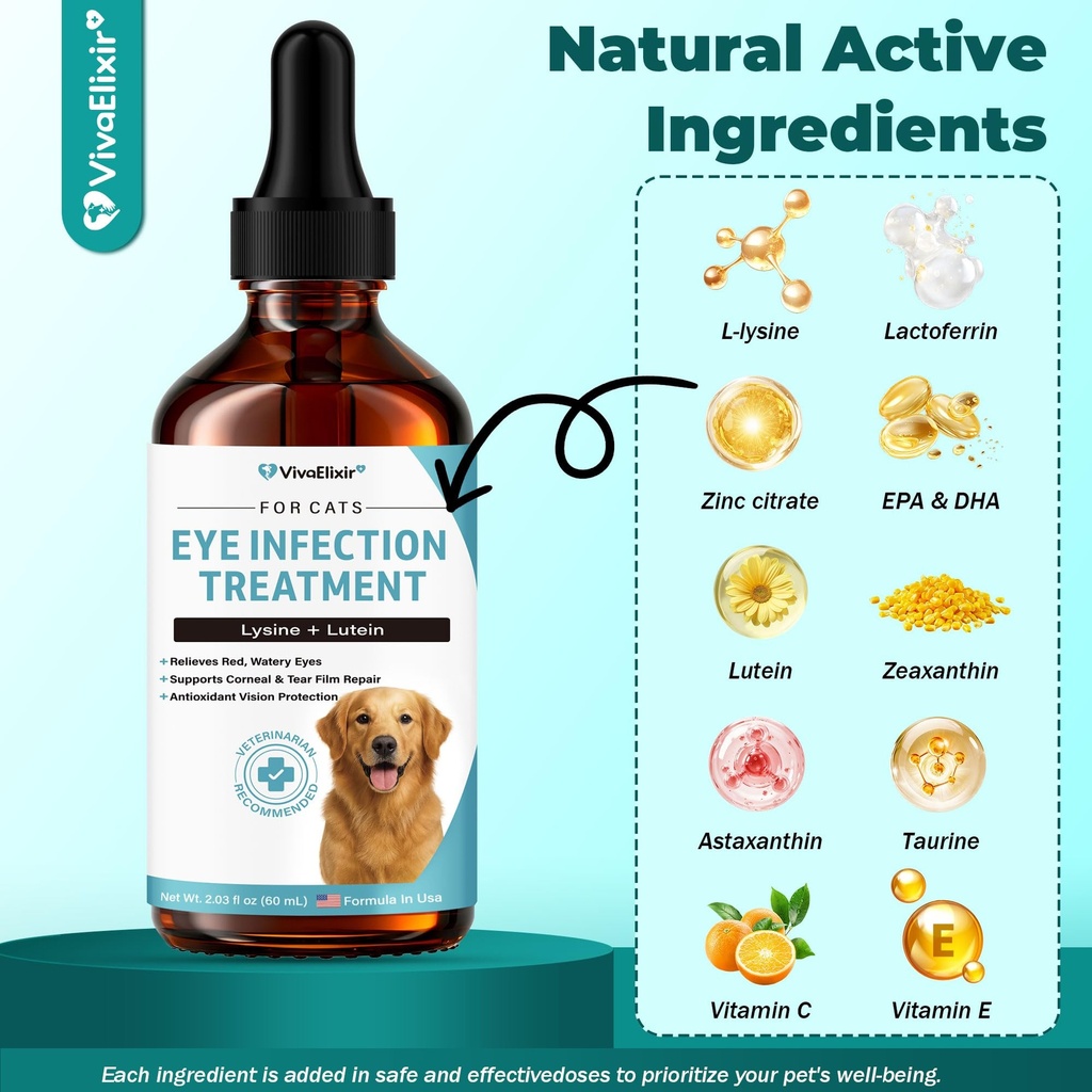 dog-eye-infection-treatment-eye-care-sup-3.jpg