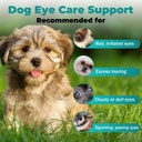 dog-eye-infection-treatment-eye-care-sup-5.jpg