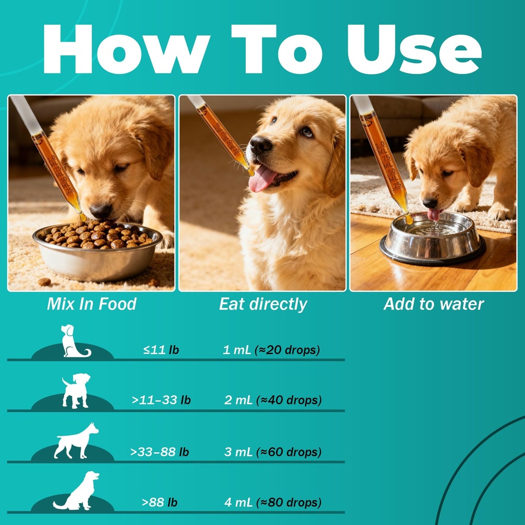 dog-eye-infection-treatment-eye-care-sup-6.jpg